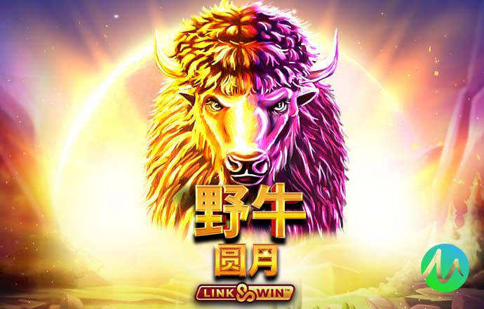 11666港澳宝典